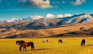 Orient Silk Road Express