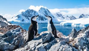 LUXE Croisière d’expédition Antarctique avec Guide Francophone