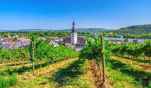 Fêtes des vendanges sur le Rhin et découverte du Rhône