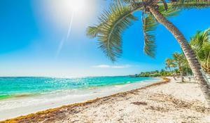 Voyage dans les Antilles Françaises