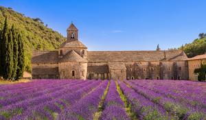 Conférence-Web Le Luberon & ses Trésors