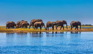 Conférence-Web Afrique Australe