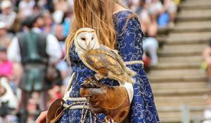 Conférence-Web Puy du Fou