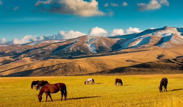 Orient Silk Road Express