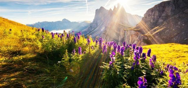 Circuit Autriche, Le Tyrol en Été - Folies Rive Gauche** -50 € !