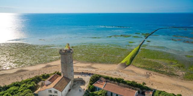 Circuit France, Île de Ré la Blanche - Folies Rive Gauche** -50 € !